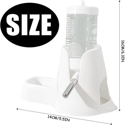 IntiMeg Fontaine à eau pour cochon d'Inde