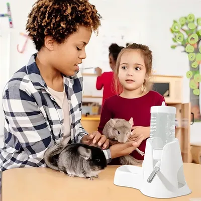 IntiMeg Fontaine à eau pour cochon d'Inde