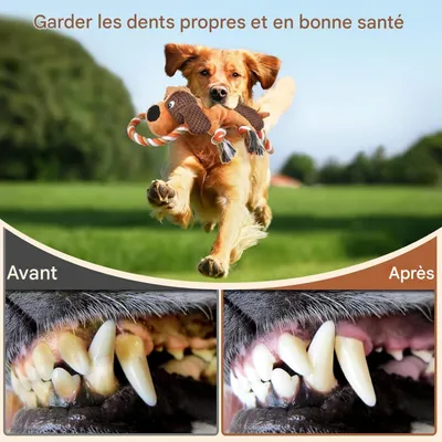 FurryFusion Jouet pour chien en peluche en corde de coton