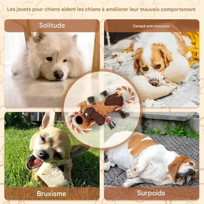 FurryFusion Jouet pour chien en peluche en corde de coton