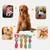 Pet Planet Chiens Teething Lot De Jouets En Peluche Pour Chiens