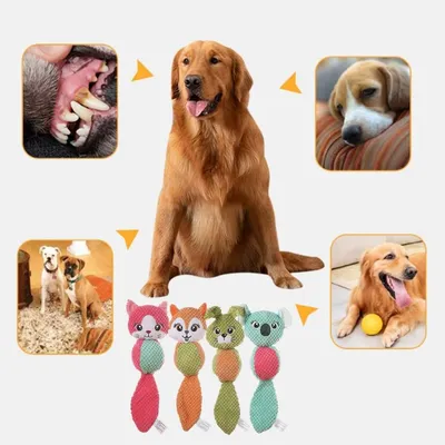 Pet Planet Chiens Teething Lot De Jouets En Peluche Pour Chiens