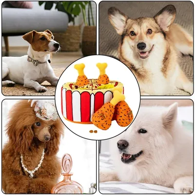 Pet Planet Chats Et Chiens Jouet Au Poulet Frit