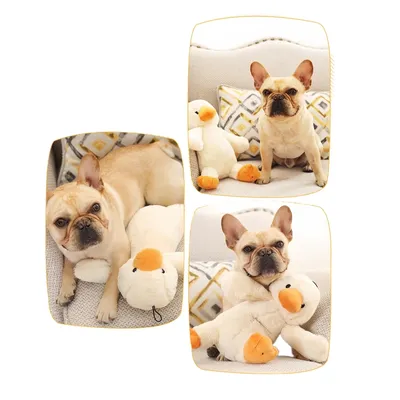 FurryFusion Jouet en peluche pour chien en forme de canard