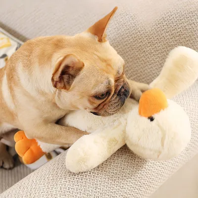 FurryFusion Jouet en peluche pour chien en forme de canard