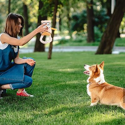 Pet Planet Chiens Jouets En Peluche Hibou