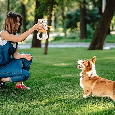 Pet Planet Chiens Jouets En Peluche Hibou