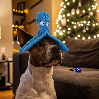 UAMLY Jouets couineurs pour chiens - Pieuvre