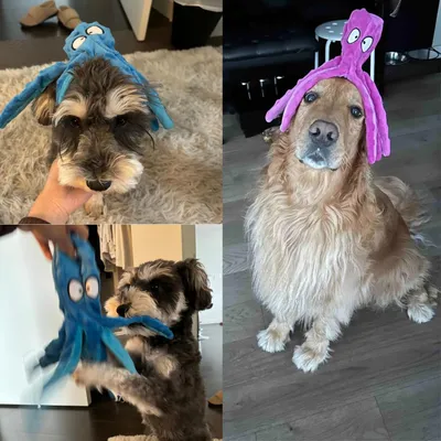 UAMLY Jouets couineurs pour chiens - Pieuvre