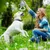 Pet Planet Chiens Jouets En Peluche Hibou