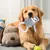 Pet Planet Chiens Jouets En Peluche Hibou