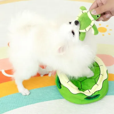 Pet Planet Chiens Jouet Tortue Squeaker Pet Planet Chiens Jouet Tortue Squeaker