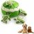 Tortue