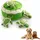 Tortue