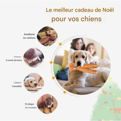 Pet Planet Chiens Jouets Poulpe en Peluche Résident