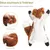 Pet Planet Chiens Cinq - Pack Jouets en Peluche à Couinement