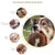 Pet Planet Chiens Cinq - Pack Jouets en Peluche à Couinement
