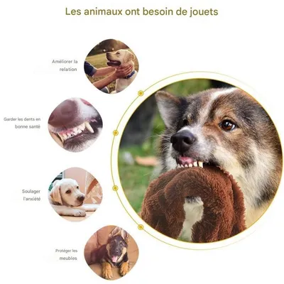 Pet Planet Chiens Cinq - Pack Jouets en Peluche à Couinement