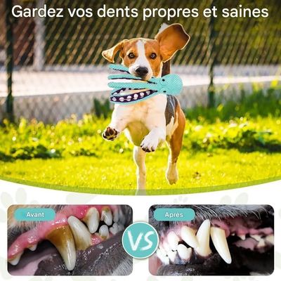 Pet Planet Chiens Jouets Poulpe en Peluche Indéfectible
