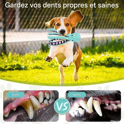 Pet Planet Chiens Jouets Poulpe en Peluche Indéfectible