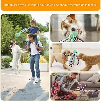 Pet Planet Chiens Jouets Poulpe en Peluche Indéfectible