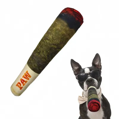 FurryFusion Jouet en peluche pour chien en forme de cigare