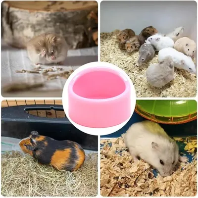 Petopia Gamelle pour petits animaux