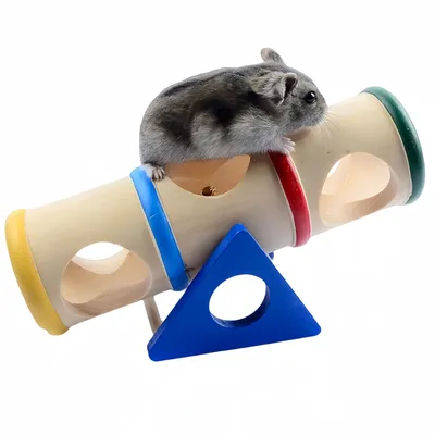 FurryFusion Jouets animaux en forme de seau en bois