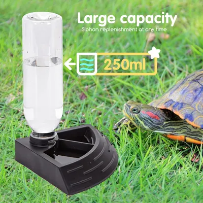UAMLY Recipiente de agua y comedero para tortugas