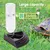 Bol d'eau et bol d'alimentation pour tortues