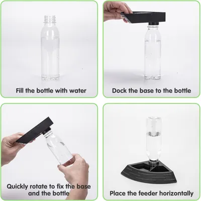 Bol d'eau et bol d'alimentation pour tortues