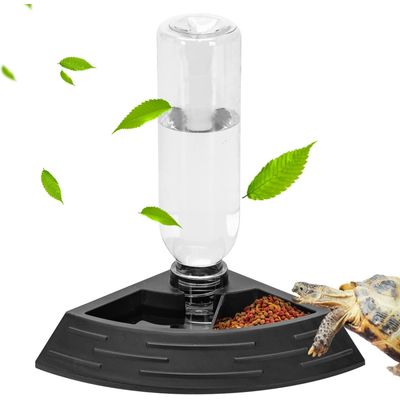 Bol d'eau et bol d'alimentation pour tortues