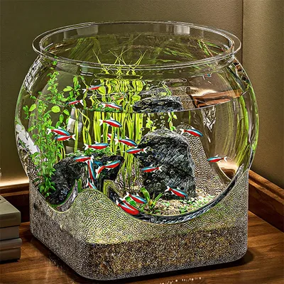 IntiMeg Aquarium bol à poissons pour bureau