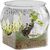 IntiMeg Aquarium bol à poissons pour bureau