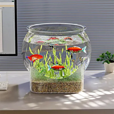 IntiMeg Aquarium bol à poissons pour bureau
