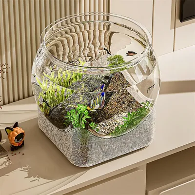 IntiMeg Aquarium bol à poissons pour bureau