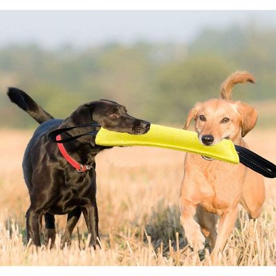 Pet Planet Chiens Jouets Traction en Jute
