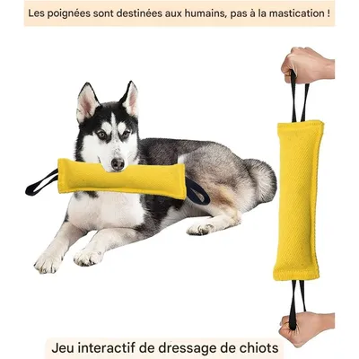 Pet Planet Chiens Jouets Traction en Jute