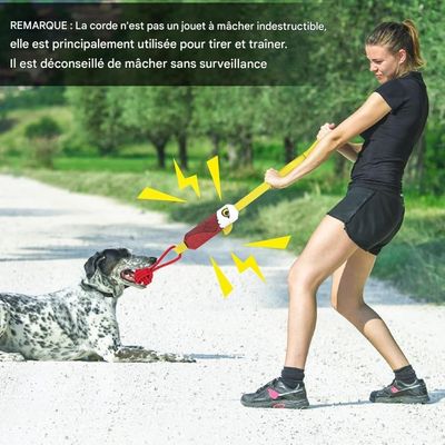 Pet Planet Chiens Jouets Indestructibles