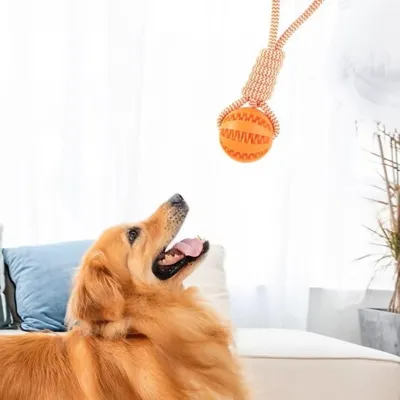 Pet Planet Chiens JouetsSet Jouet pour Chiens