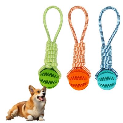 Pet Planet Chiens JouetsSet Jouet pour Chiens