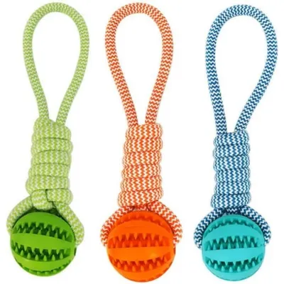 Pet Planet Chiens JouetsSet Jouet pour Chiens