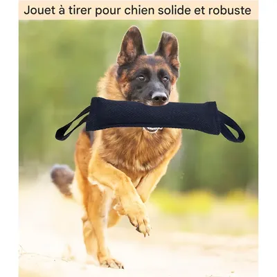 Pet Planet Chiens Jouets Traction en Jute