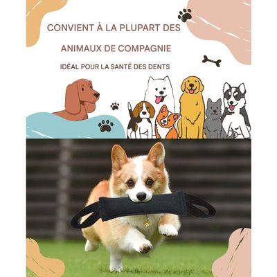 Pet Planet Chiens Jouets Traction en Jute
