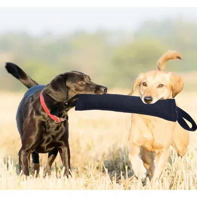 Pet Planet Chiens Jouets Traction en Jute