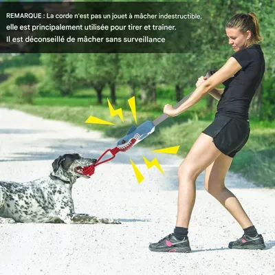 Pet Planet Chiens Jouets Indestructibles