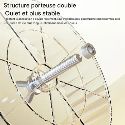 IntiMeg Roue de course pour cochon d'Inde