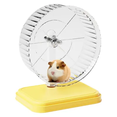 IntiMeg Laufrad für Meerschweinchen