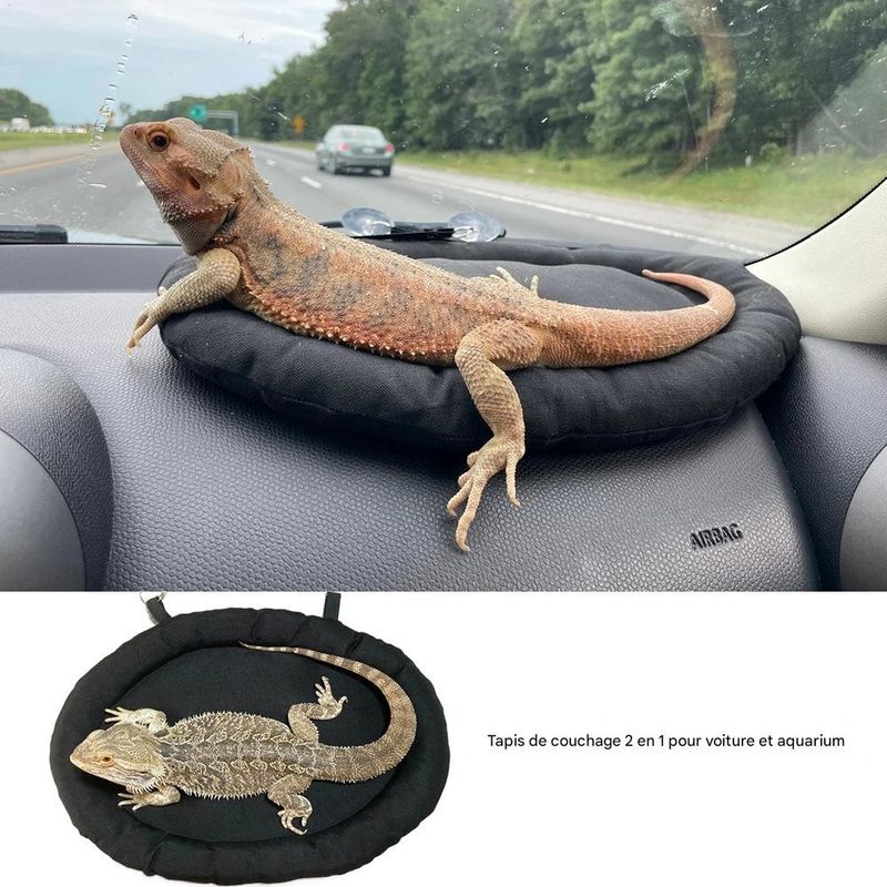 FurryFusion Sac de sommeil pour reptiles et petits animaux