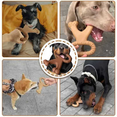 Pet Planet Jouet de chien en nylon